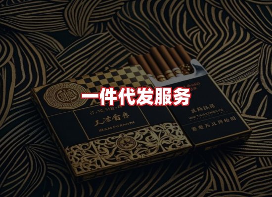 专业团队